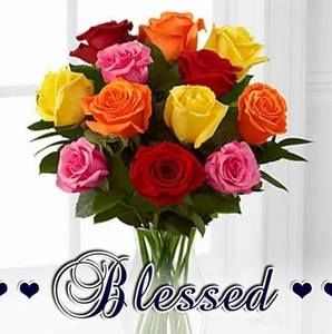 Meet your Posher, Lupe